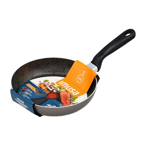 SARTEN 20 CM TALENT MASTER