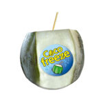 COCO FREEZE