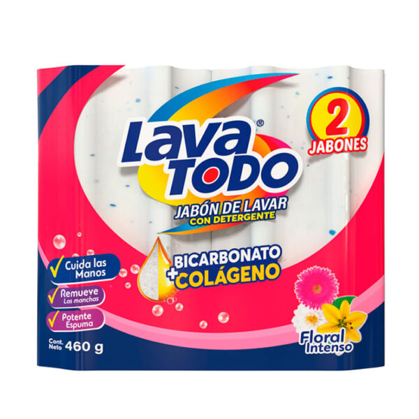 LAVATODO FLORAL BICAR 240G