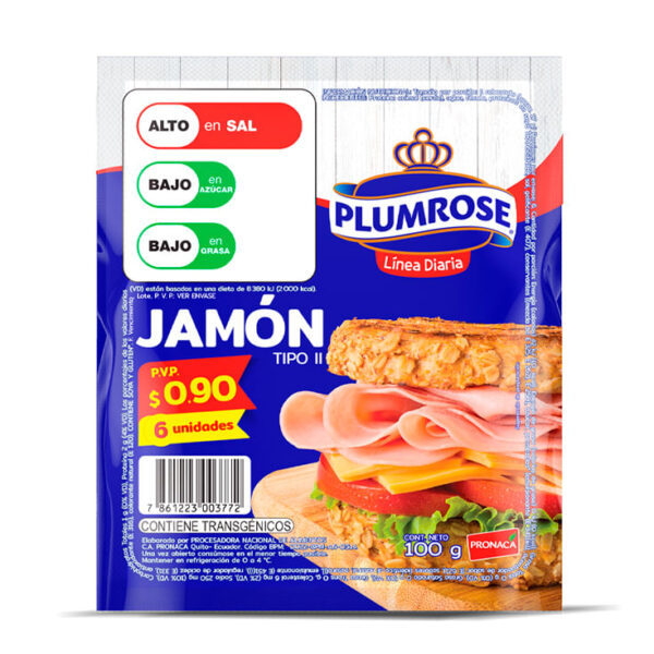JAMON LINEA DIARIA 100GR