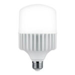FOCO LED H POWER 80W 6.5 E27 LUZ DÌA