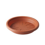 BASE JASMIN MEDIANA